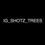 Part of @ig_shotz group(@ig_shotz_trees)'s profile avatar
