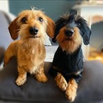 coco.and.james