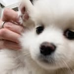 𝙈𝙄𝘾𝙃𝙀𝙇𝙇𝙀 ꉂ(ˊᗜˋ*)𐤔𐤔 | 💉(@michexx.l_)'s profile avatar