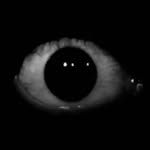 Eduardo Sterblitch(sterblitch)'s profile avatar