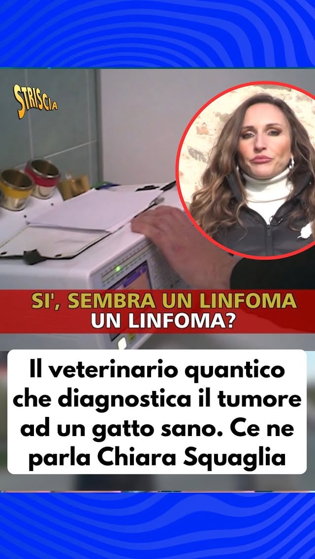 Il veterinario quantico che diagnostica il tumore ad un gatto sano. Ce ne parla @chiarasquaglia Al link in bio il video completo #Striscialanotizia #ChiaraSquaglia