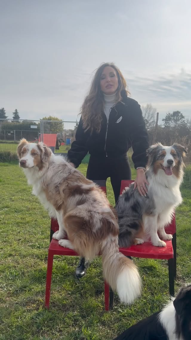La donna che sussurrava ai cani…🗣️I cani ci PARLANO tramite SEGNALI, anche di AGGRESSIVITÀ, siamo noi che dobbiamo imparare a comprendere il loro linguaggio!🐶STASERA a @striscialanotizia ore 20:35 CANALE !❤️‍🔥❤️‍🔥❤️‍🔥📮 PER SEGNALAZIONI: 375 54 94 386#striscialanotizia #inviata #animali #pet #chiarasquaglia #chiladuralavince