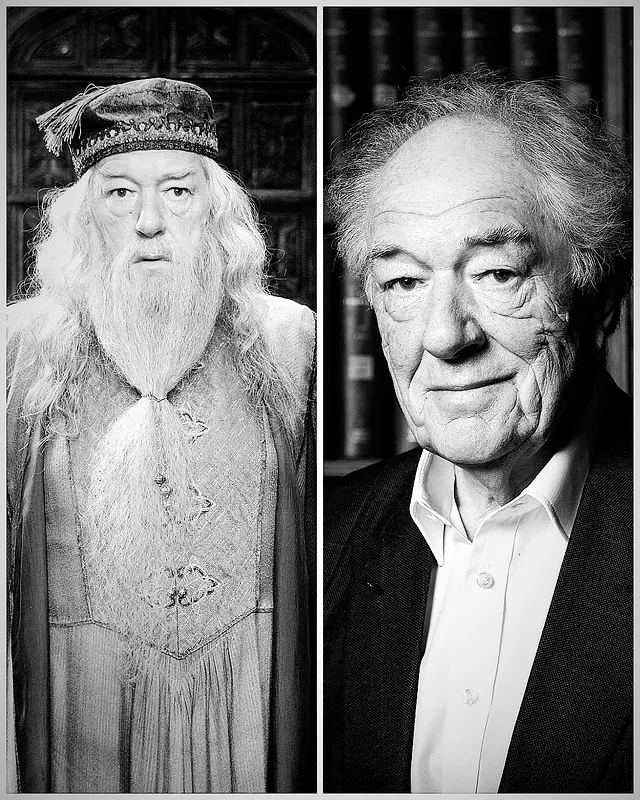 RIP Michael Gambon 🙏🏻“Happiness can be found, even in the darkest of times, if one only remembers to turn on the light” - Albus Dumbledore by @harrypottercast