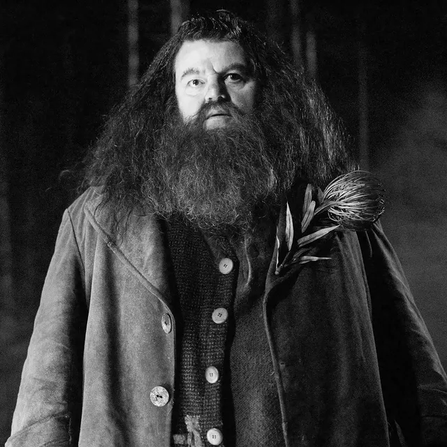 RIP Robbie Coltrane 🙌❣️ by @harrypottercast