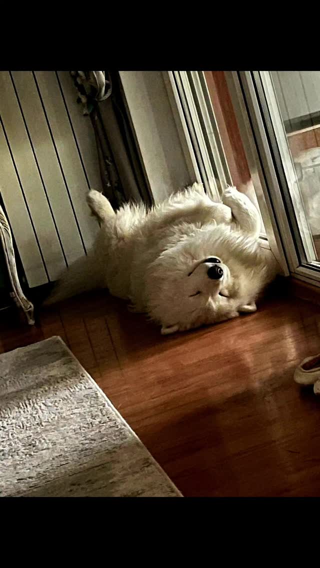 Somnul de dupa amiaza 🥰 by @dediuclaudia