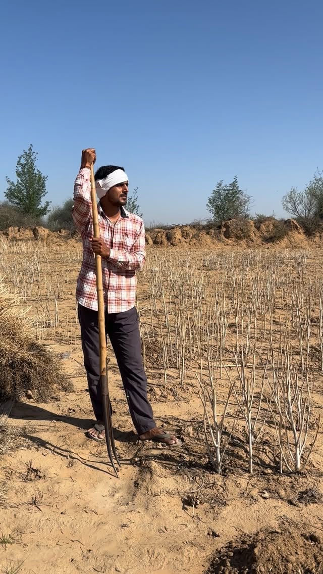 😂 #farmerlife #farming #farmer #explore #tranding