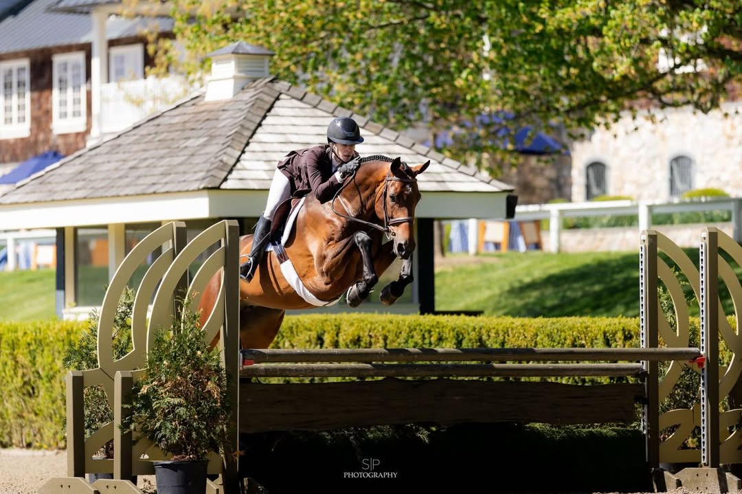 What a fun week for so many reasons. Obviously great fun to be back with the horses but equally fun to spend my days back at the store on Madison Ave after mornings of showing and riding ! @oldsalemfarmny ❤️. I am so looking forward to having the horses on the east coast for the summer and seeing all my buddies and family out here. Thank you @morganworkman @sparky1901 and @briannegoutal for getting my horses in such great shape so we could go out there and succeed. ❤️ Happy to be back! by @ireneneuwirth