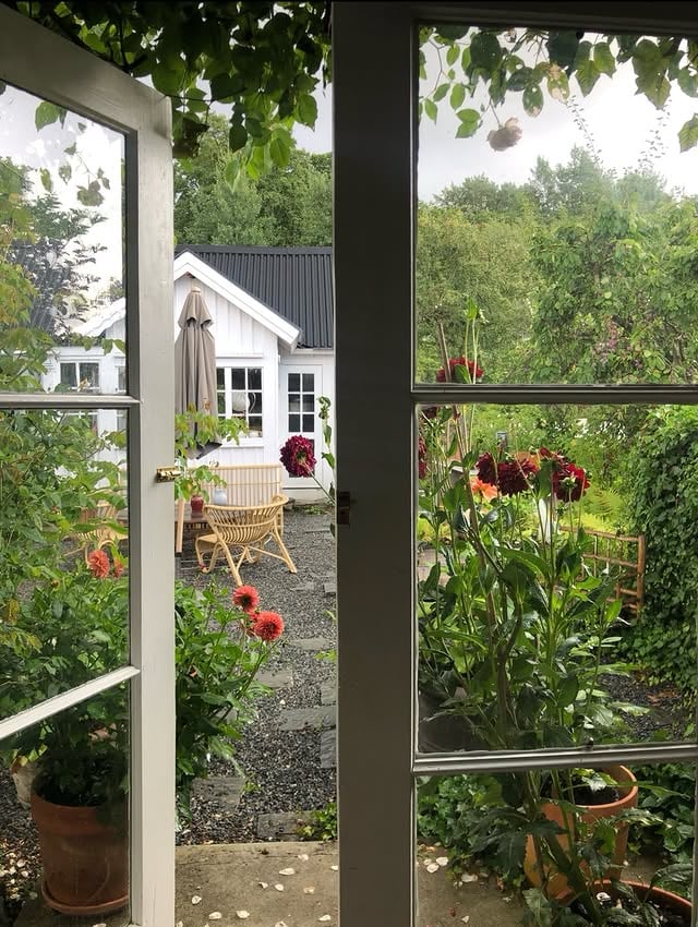 Going on at the allotment.🌱 Systemet är ändå ganska enkelt. Dahliorna väcks upp i en stilla och ljus sovbod. När de första bladen kikar opp är det dags att förflytta plantorna till uppvaket. Uppvaket hittar man direkt innanför dörren till stugan. Här skäms plantorna bort, de får vatten, nya större krukor och är jag riktigt snäll ställer jag ut dem i solen så de får bada lite. Men resten av processen är lite snurrig, gå gärna in och läs och stötta upp med dina bästa knep, på bloggen. Jag kan nog behöva det.☺️🌱🌞 by @elinlannsjo