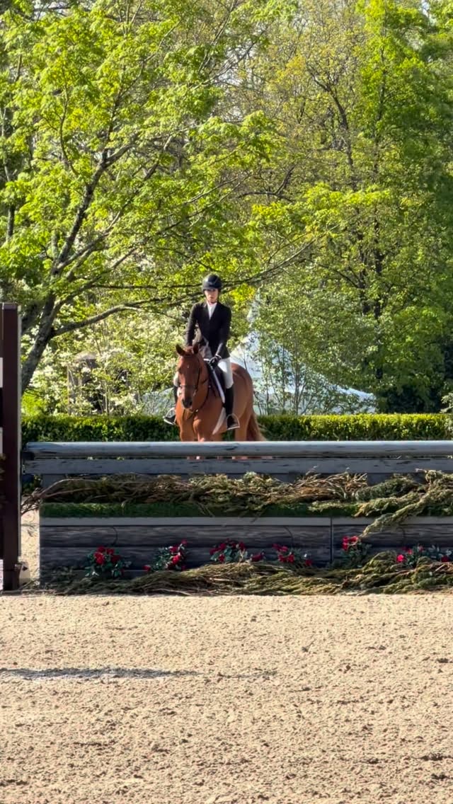 Cutest little Orange Julius winning his first class , his first time in the 3’3 AOs. 🍊. Excited to learn more from this little guy. by @ireneneuwirth