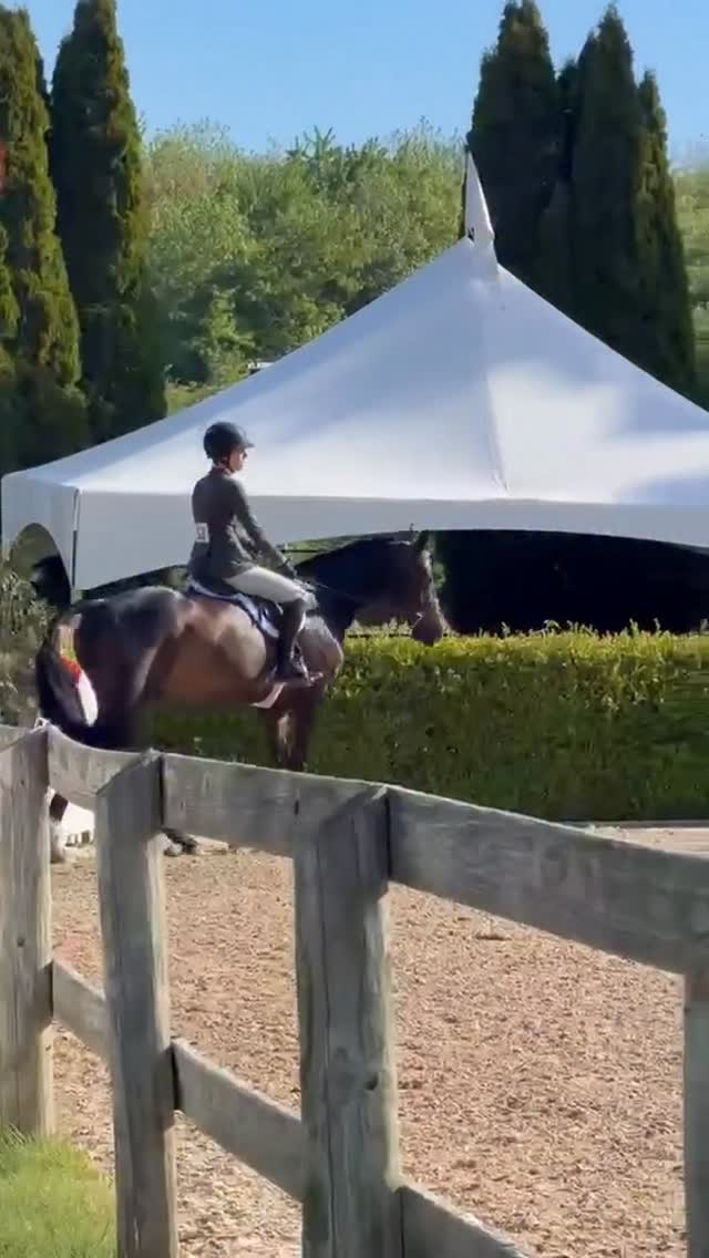 SCOUT, looking and feeling like a completely different horse. So strong and fit and beautiful and a total superstar both weeks of @oldsalemfarmny ! However Devon ends up, it’s my favorite horse show of all time and thrilled to be there with @briannegoutal and my cute little horse ! See you soon! by @ireneneuwirth