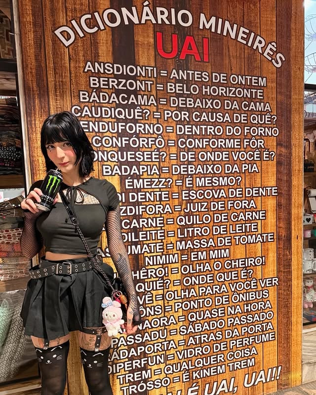 Dicionário Mineirês pro cê aprendê amorzin 🥰 tendeu sô?.....#minasgerais #mineirinha #mineira #mineires #gotica by @kelltchup