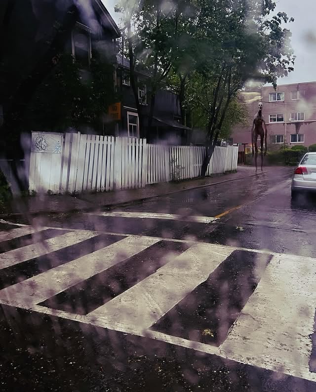 During the storm by @trevorhenderson