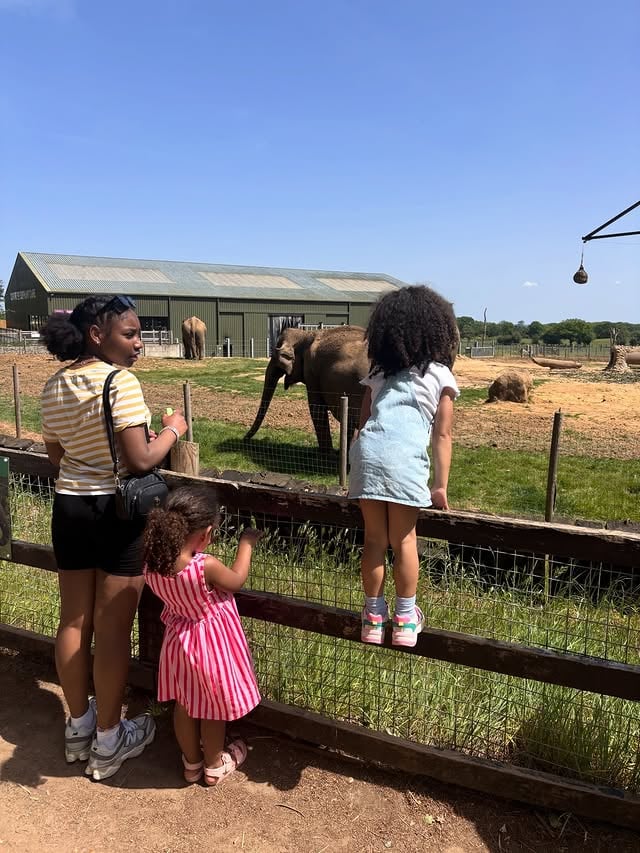 Another day blessed to see, another zoo full of memories. by @arranaro