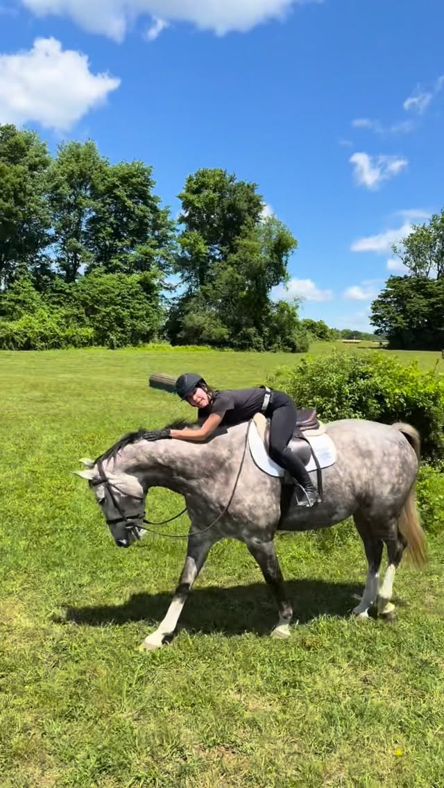 BEST DAY with @sdanhakl and her hunt horses and my new buddy, Irish @devon1896 ! @archiecox3 , we can share! by @ireneneuwirth
