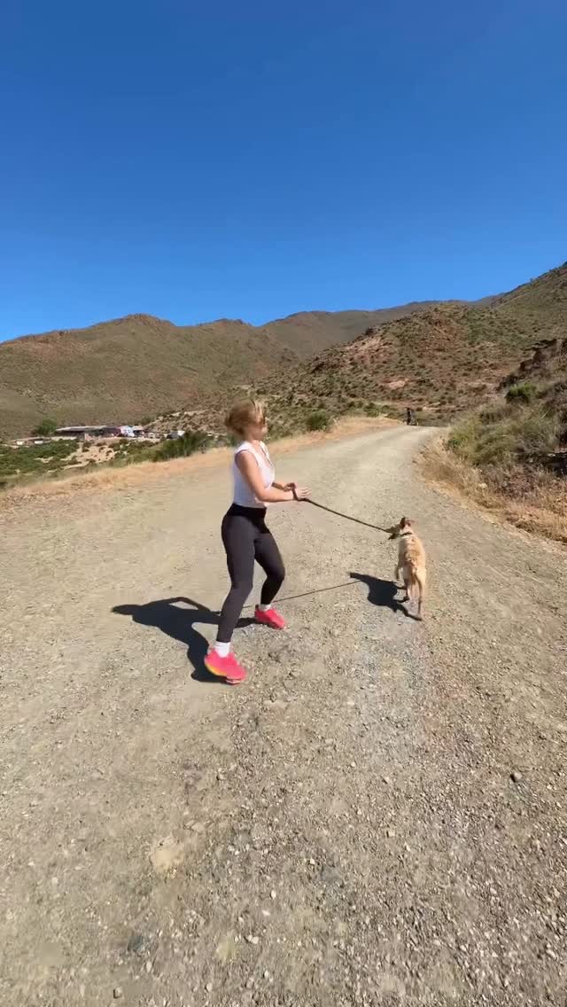 What a special place and a great cause @adanaestepona 🐾 Anyone out near Estepona/Marbella I highly recommend visiting for a walk or even make a donation!🥹 by @sianwalton_