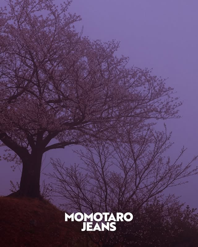 .MOMOTARO JEANSNew brand visual.#momotarojeans #kojima #okayama#児島 #岡山 #特濃 #TOKUNOBLUE by @momotarojeans_official