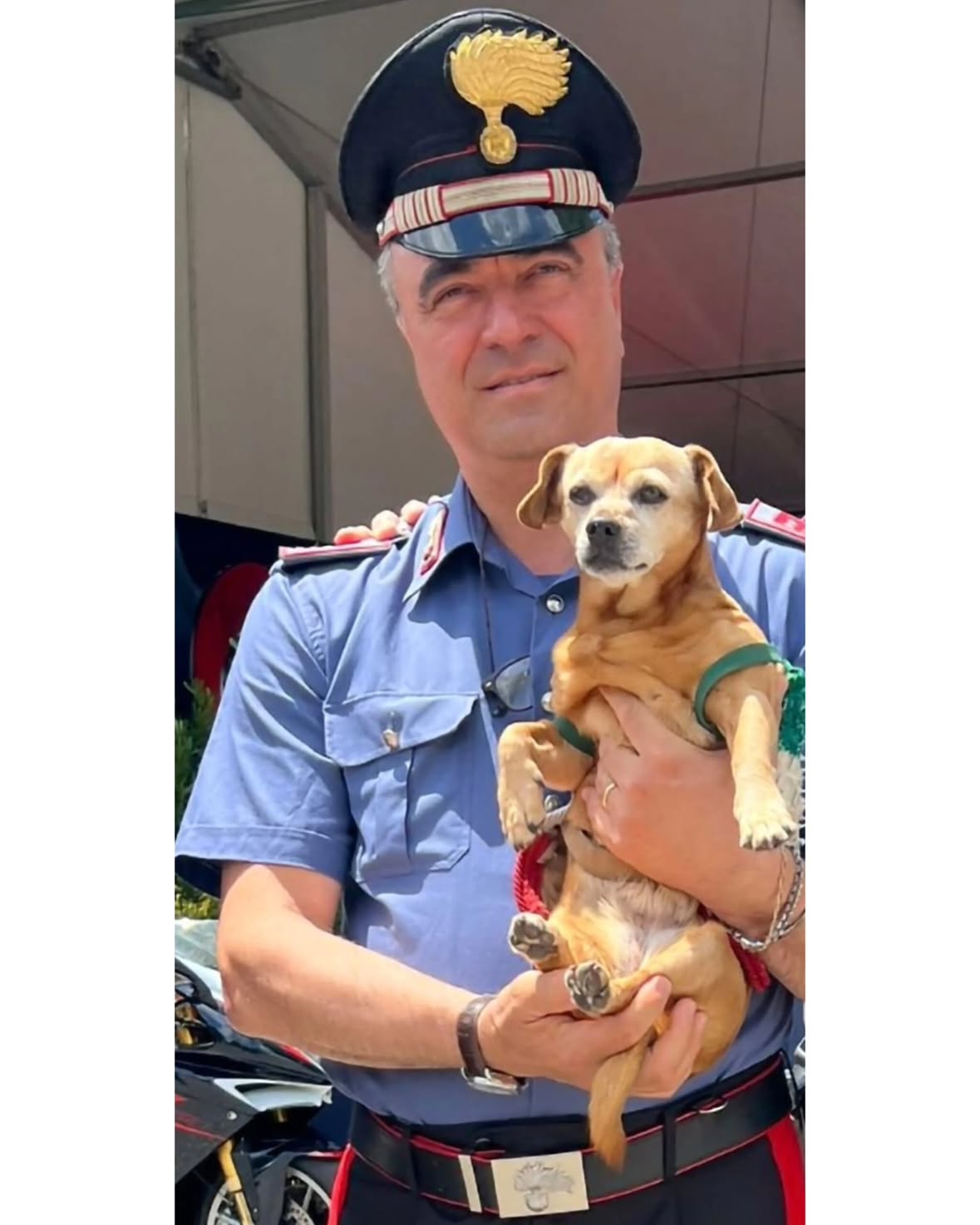 La musica ha un fascino particolare per la nostra @briciola_mascotte 🐕🥰 che qui è in braccio al Luogotenente Carica Speciale Danilo Di Silvestro @disilvestrodanilo 👮🏻‍♂️ Comandante della Fanfara della Legione Allievi di Roma @fanfara_cc_roma.
-
Followme @briciola_mascotte 🐕
-
#Briciola_Mascotte #ArmaDeiCarabinieri #Musica #Fanfare #SweetLove
-
@tassinari.fabio 👮🏻‍♂️
@fanfara4rgtacavallo 🐎 🎶
@forzearmate_nelcuore 🇮🇹