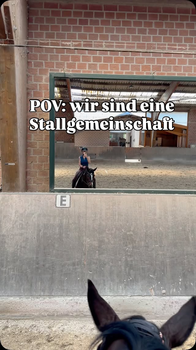 Lass uns mal testen, wie viele Stallgespräche wir zusammenbekommen. 👀🐴 
Wenn’s nicht nach Stall riecht, haben wir versagt 😅

Ich lese mit. 🍿

STALL GESPRÄCHE LUSTIG TYPISCHREITER HUMOR STALLTALK WITZIG REITEN PFERD DRESSUR STALLGRUPPE