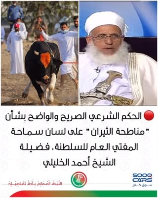 "
"
الحكم الذي نُقل عن سماحة المفتي العام للسلطنة أحمد بن حمد الخليلي بشأن مناطحة الثيران كان واضحًا وصريحًا، حيث قال:

“هي عادة من أسوأ العادات، وقد قيل إنها مما ورثه الناس من قوم لوط، وكفى بذلك خسة، وكفى بذلك دناءة، يجب على الإنسان العاقل أن يترفع عنها؛ إذ ما هي الفائدة من التحريش بين الحيوانات.
