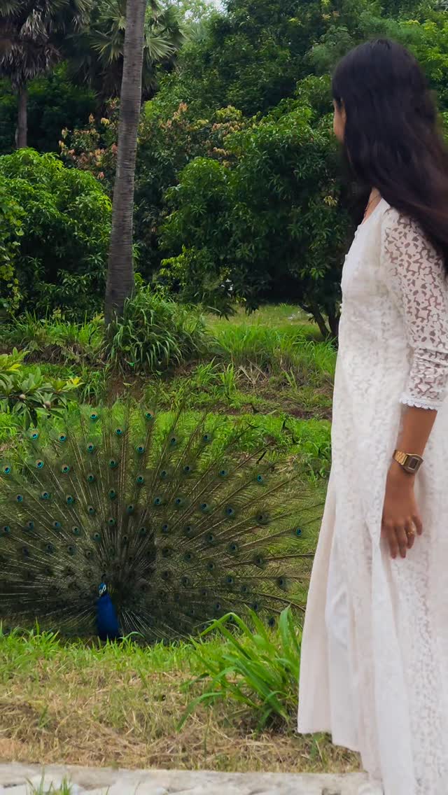 #watch till end.. 🦚