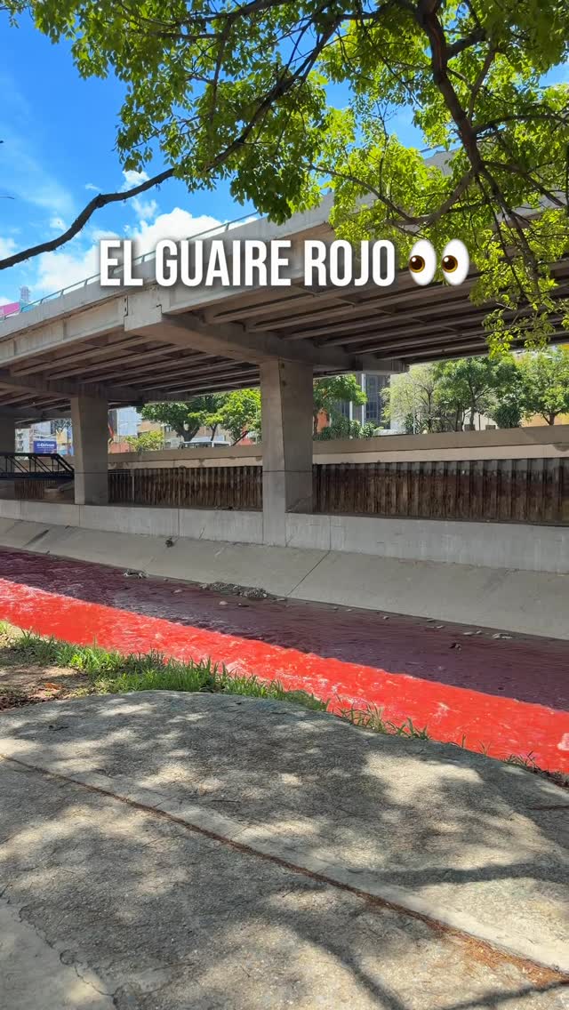 👀 by @elchamodelpeloazul