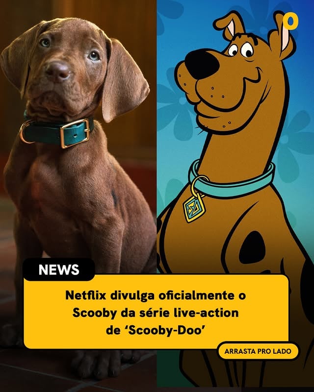 SCOOBY-DOO EM LIVE-ACTION É REAL 🚨 A sessão de ITI MALIA está oficialmente aberta pela dona @netflixbrasil pois finalmente temos o visual de Scooby-Doo para a série live-action (arrasta pro lado) 🥹 'Scooby-Doo: A Origem' estreia em 2027 e trará o personagem icônico sendo interpretado por um cachorro real!

Animados?
#netflix #scooby #scoobydoo